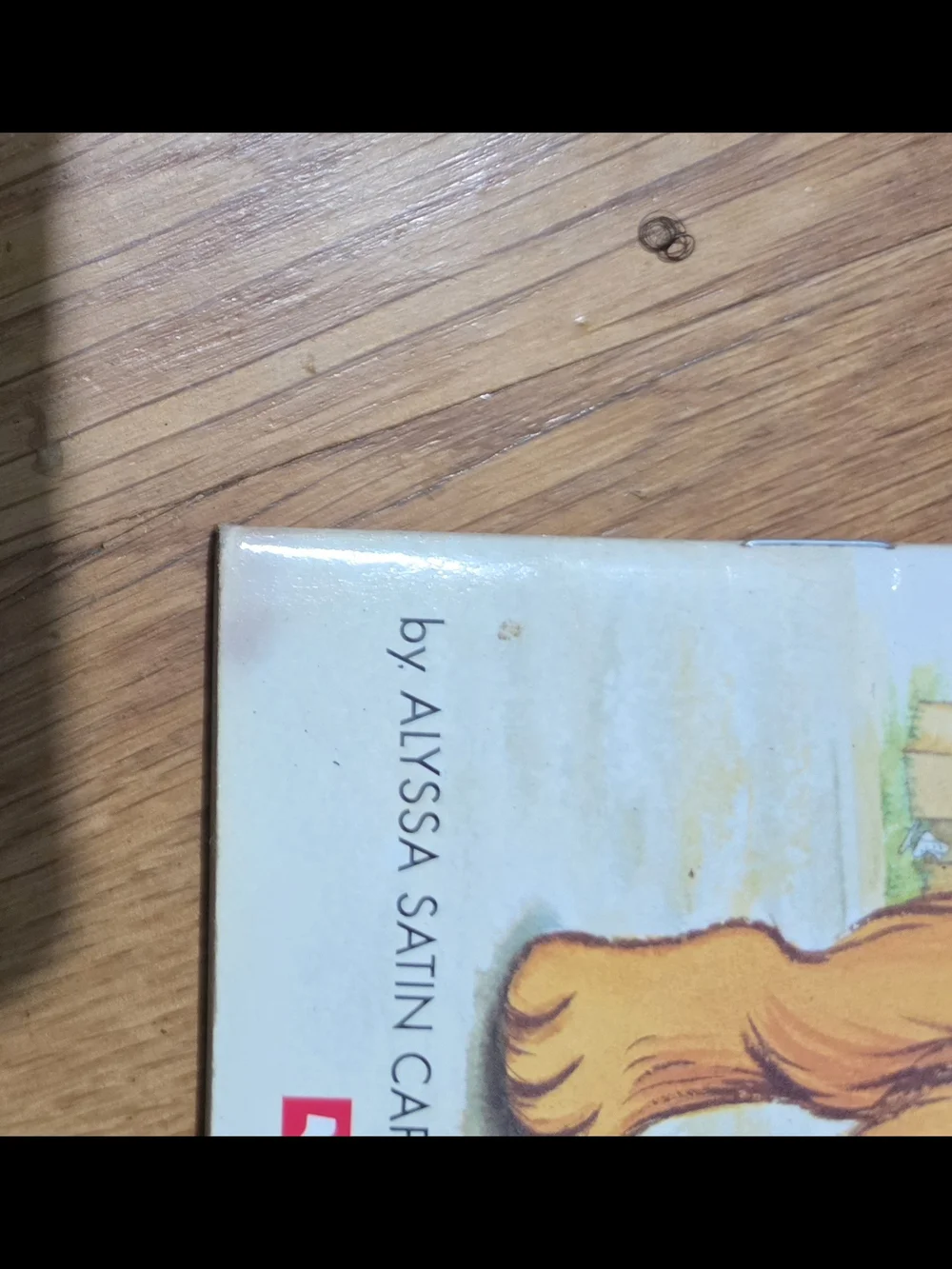 💥5 I Can Read Kids Book Bundle